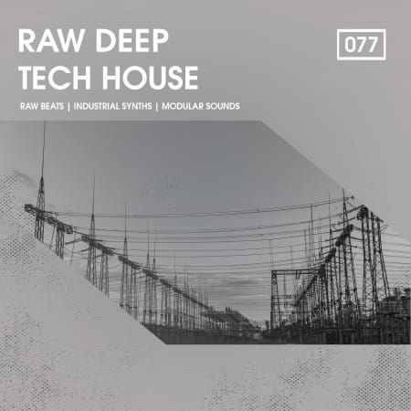 Raw Deep Tech House WAV